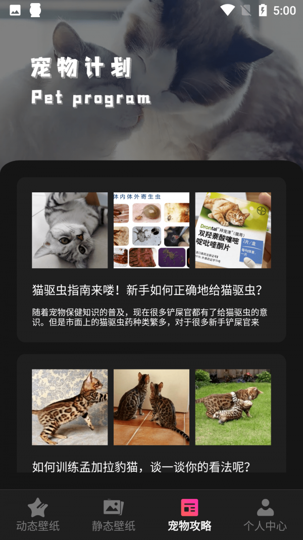 猫咪壁纸app