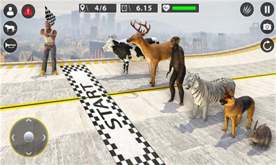 动物GT特技比赛模拟器(Animal GT Stunt Race Simulator)