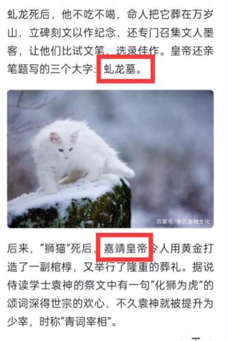 淘宝大赢家每日一猜11.27最新答案 历史上哪个皇帝可以说是十足的猫奴答案[多图]图片3