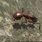 3d蚂蚁模拟器AntSimulation3D