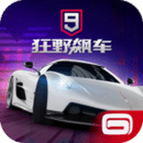 狂野飙车9：竞速传奇中文版