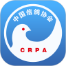 中国信鸽协会  正版
