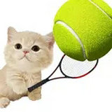 猫网球明星最新版