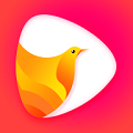 鸽迷短视频appv1.2.34移动版