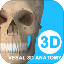 维萨里3D解剖官方