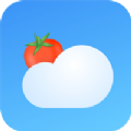 番茄天气苹果版官方版