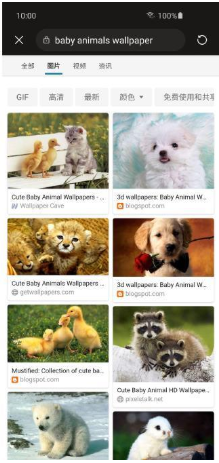 Bing Wallpapers安卓手机版v1.2.38互通版