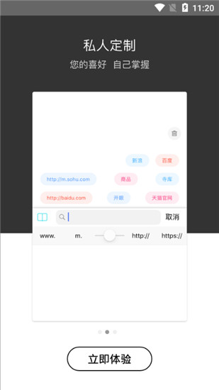 绿叶浏览器v4.1.6正版