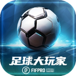 足球大玩家中文版