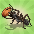 口袋蚂蚁模拟器(Pocket Ants)精简版