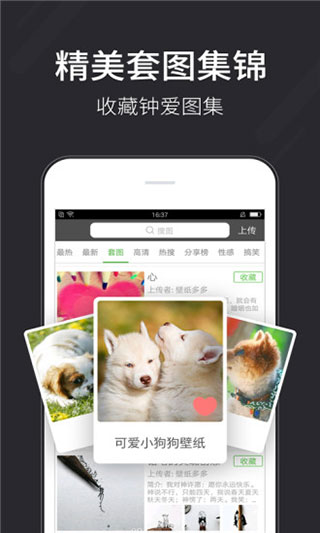 壁纸多多app中文版
