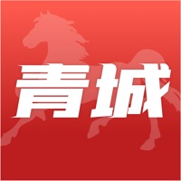 政通青城最新