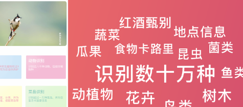 QQ截图20240116120120.png