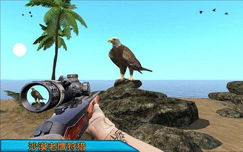 沙漠鸟类狙击手Desert Birds Sniper Hunter