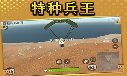 特种兵王