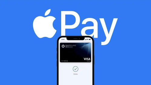 如何使用ApplePay(如何使用Apple pencil)