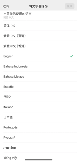 微信小程序翻译功能如何设置(微信小程序翻译功能上线)