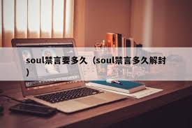 soul禁言时间查询(soul会禁言几天)