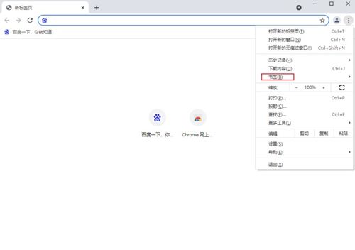 神奇浏览器如何导出书签(神奇浏览器保存的网页在哪里)
