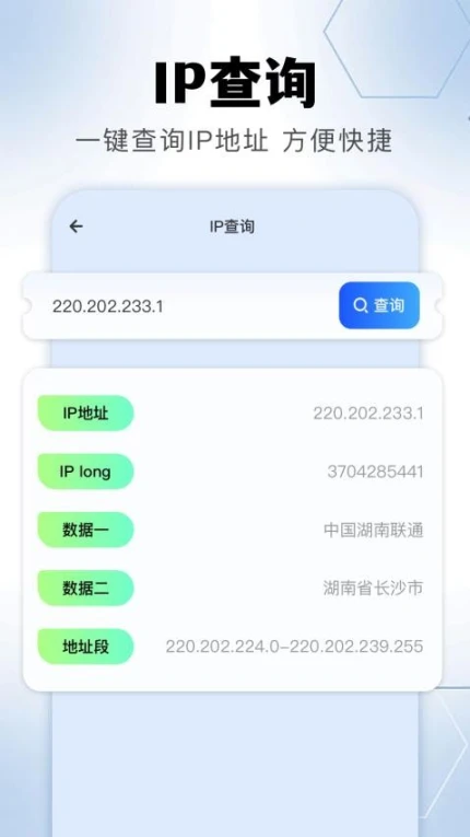 金砖弱网助手截图