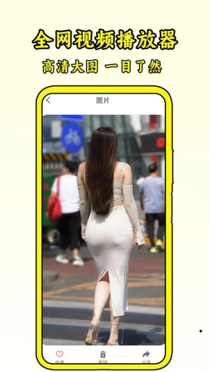 全网视频播放器正版