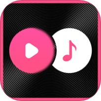 视频音频提取器官服