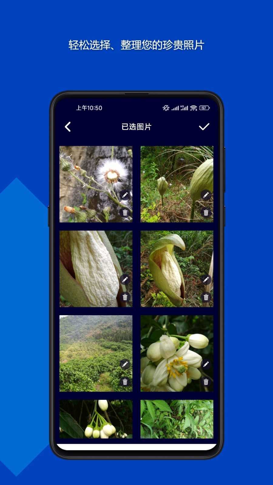 魔法音乐相册appapp