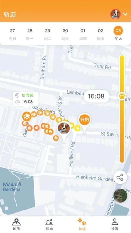 Pawfit官网版正版