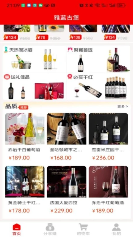 雅蓝古堡游戏截图