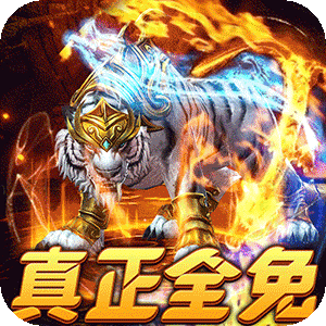 武器之王（免月卡无限进化）正版