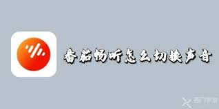 番茄畅听如何切换播放声音