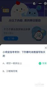 哪句诗反映诗人有脱发苦恼(诗中最能体现诗人)