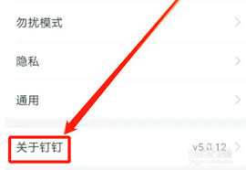 如何查看钉钉隐私政策(如何查看钉钉隐私设置)
