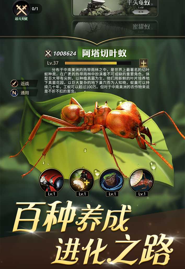 小小蚁国官方