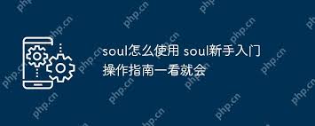 soul怎么使用(soul怎么使用隐身小助手)