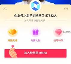 抖音粉丝团如何升级(抖音粉丝团如何升级到16级)