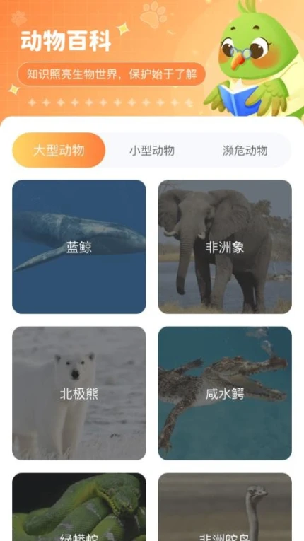 动物天地官服