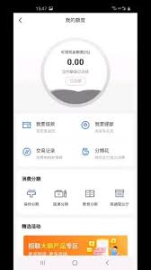 安逸花有额度借不出来是怎么回事(安逸花有额度借不出来是什么原因)