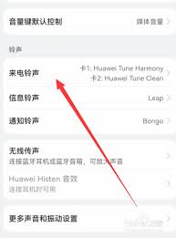 如何在华为手机上设置自己喜欢的来电铃声(如何在华为手机上下载两个微信)