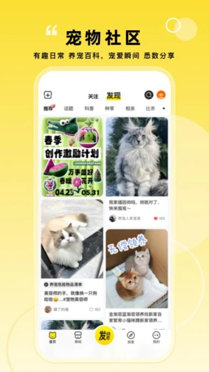 宠胖胖精简版