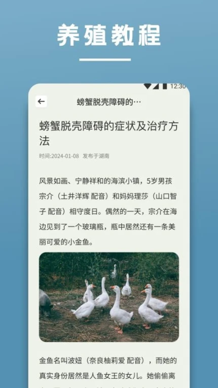 阳光养猪场手机版