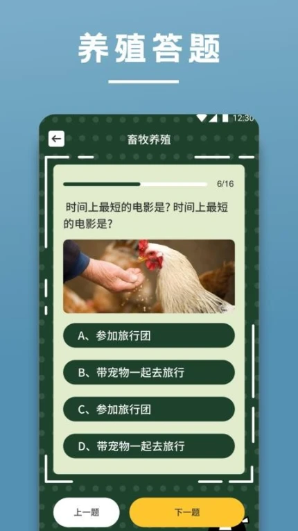 阳光养猪场手机版
