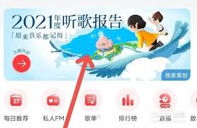 网易云音乐如何查看灵魂年龄(网易云音乐如何查看听歌次数)