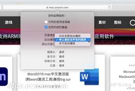 Safari标签页静音功能如何使用(safari标签页怎么恢复)