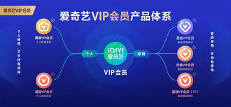 爱奇艺会员有几种类型(爱奇艺会员有几种兑换方式)
