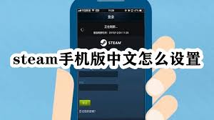 steam手机版如何设置中文(steam手机版官网)