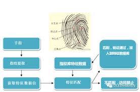 如何启用随手记的指纹识别功能(随手记怎么设置首页)