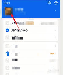 支付宝聊天收藏功能位置在哪(支付宝里面的聊天内容我收藏后咋删掉)
