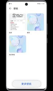 荣耀来电视频如何设置壁纸桌面显示(荣耀来电视频如何设置壁纸)