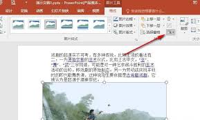 PPT演示文稿如何操作图片镜像翻转(PPT演示文稿如何转为PPT文档)